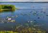 50 Elites Oneida Lake.jpg (44508 bytes)